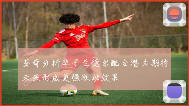 芬奇分析华子兰德尔配合潜力期待未来形成更强联动效果